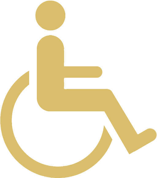 accessibility icon